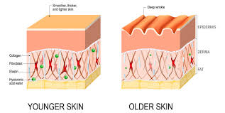 Is Collagen Supplementation Really Benefitting Your Skin? - UPMC & Pitt  Health Sciences News Blog